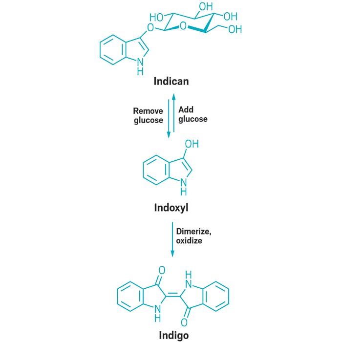 Green-route-blue-dye