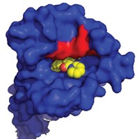 Serving the chemical, life science, and laboratory worlds