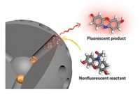 Serving the chemical, life science, and laboratory worlds