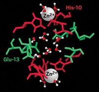 Serving the chemical, life science, and laboratory worlds
