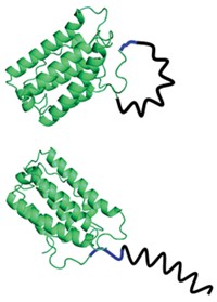 Serving the chemical, life science, and laboratory worlds