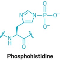 Serving the chemical, life science, and laboratory worlds