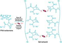 Serving the chemical, life science, and laboratory worlds