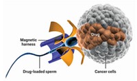 Serving the chemical, life science, and laboratory worlds