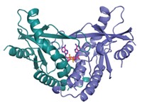 Serving the chemical, life science, and laboratory worlds