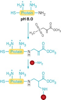 Serving the chemical, life science, and laboratory worlds