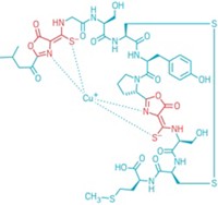 Serving the chemical, life science, and laboratory worlds