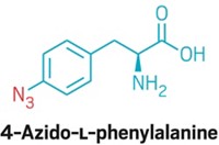 Serving the chemical, life science, and laboratory worlds