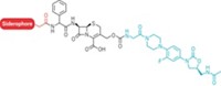 Serving the chemical, life science, and laboratory worlds