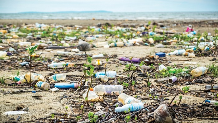 Trash Free Seas: Plastics in the Ocean - Ocean Conservancy