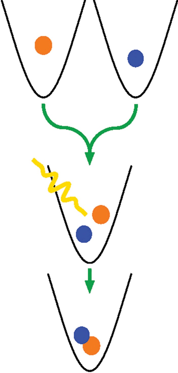 Serving the chemical, life science, and laboratory worlds