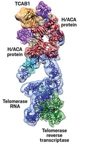 Serving the chemical, life science, and laboratory worlds