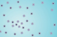 Serving the chemical, life science, and laboratory worlds