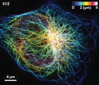 Serving the chemical, life science, and laboratory worlds