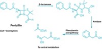 Serving the chemical, life science, and laboratory worlds