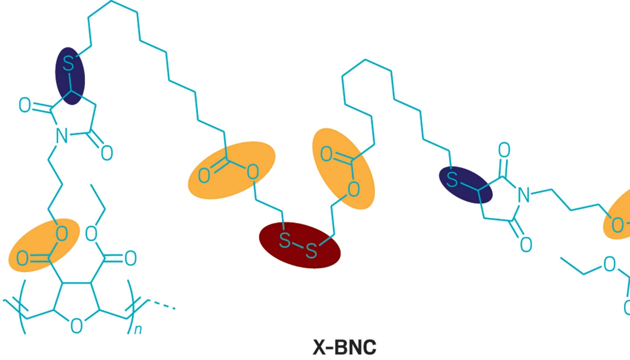 Biodegradable emulsion eliminates biofilms