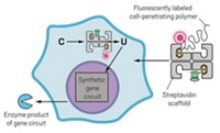 Serving the chemical, life science, and laboratory worlds