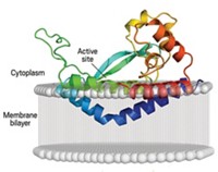 Serving the chemical, life science, and laboratory worlds