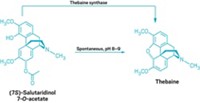 Serving the chemical, life science, and laboratory worlds