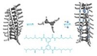 Serving the chemical, life science, and laboratory worlds