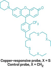 Serving the chemical, life science, and laboratory worlds