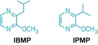 Serving the chemical, life science, and laboratory worlds