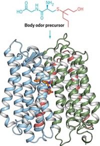 Serving the chemical, life science, and laboratory worlds