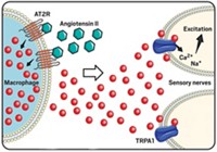 Serving the chemical, life science, and laboratory worlds