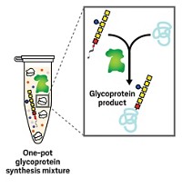 Serving the chemical, life science, and laboratory worlds