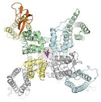 Serving the chemical, life science, and laboratory worlds