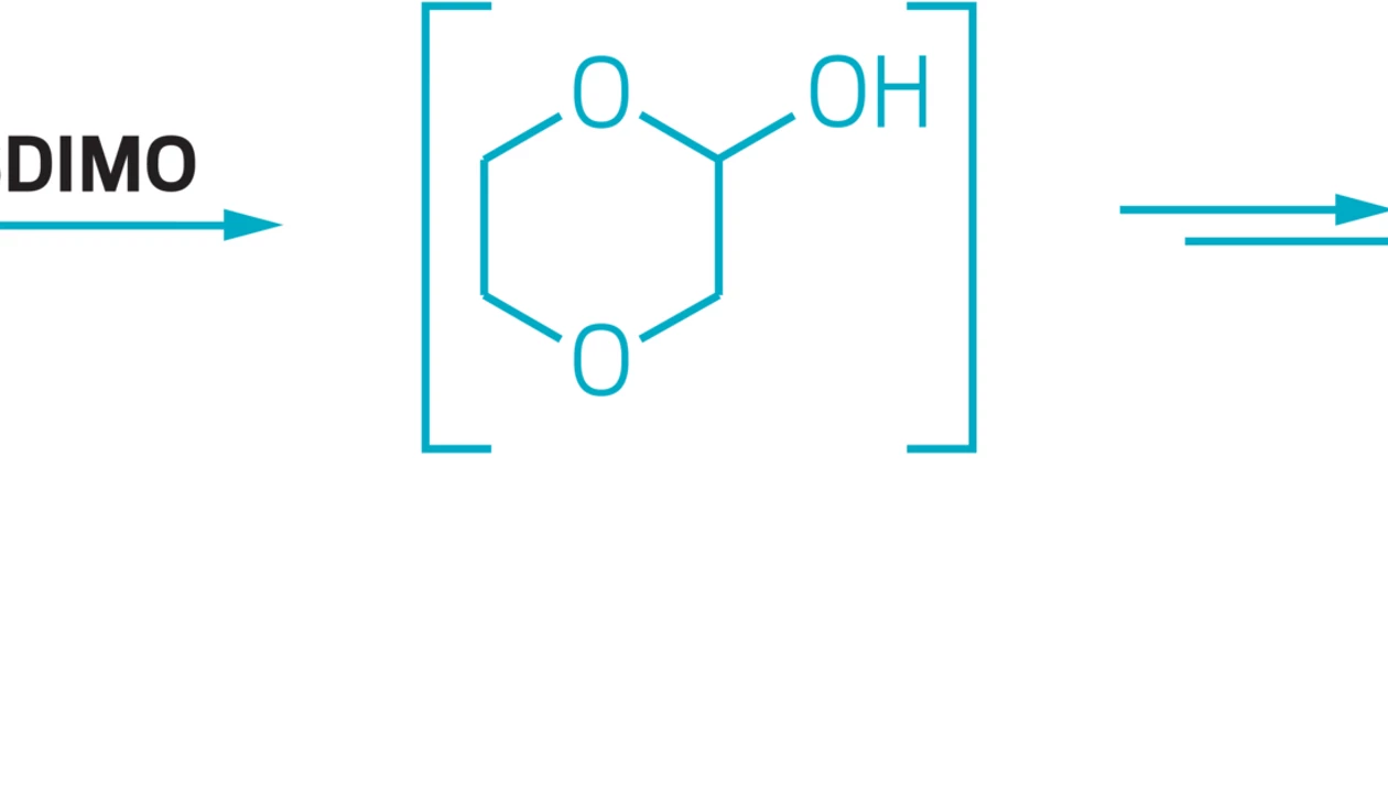Persistent pollutant broken down by sludge microbe