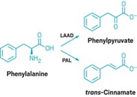 Serving the chemical, life science, and laboratory worlds