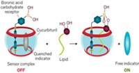 Serving the chemical, life science, and laboratory worlds