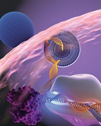 Serving the chemical, life science, and laboratory worlds