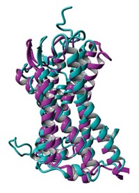 Serving the chemical, life science, and laboratory worlds