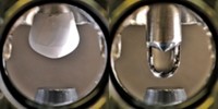 Serving the chemical, life science, and laboratory worlds