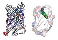 Serving the chemical, life science, and laboratory worlds