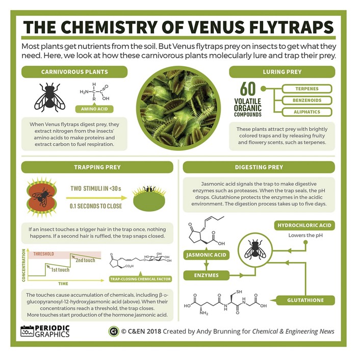 Periodic Graphics: The chemistry of Venus flytraps