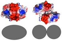 Serving the chemical, life science, and laboratory worlds