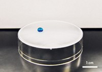 Serving the chemical, life science, and laboratory worlds