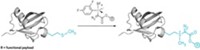Serving the chemical, life science, and laboratory worlds