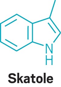 Serving the chemical, life science, and laboratory worlds