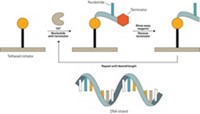 Serving the chemical, life science, and laboratory worlds