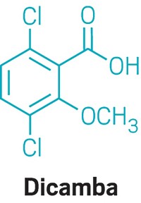 Serving the chemical, life science, and laboratory worlds