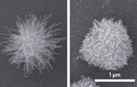 Serving the chemical, life science, and laboratory worlds