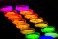 Serving the chemical, life science, and laboratory worlds