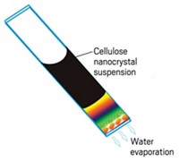 Serving the chemical, life science, and laboratory worlds