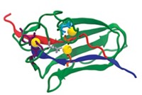 Serving the chemical, life science, and laboratory worlds