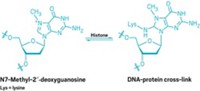 Serving the chemical, life science, and laboratory worlds