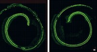 Serving the chemical, life science, and laboratory worlds